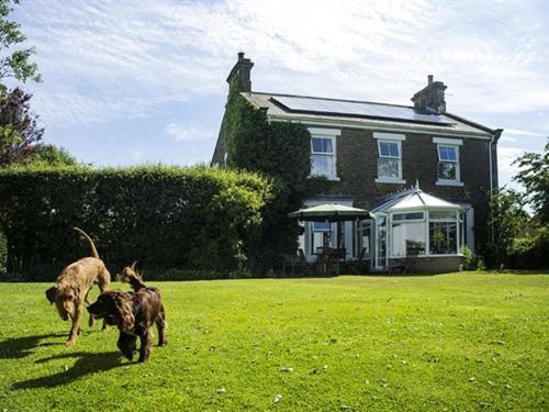 Dowfold House Bed And Breakfast Crook  Exterior foto